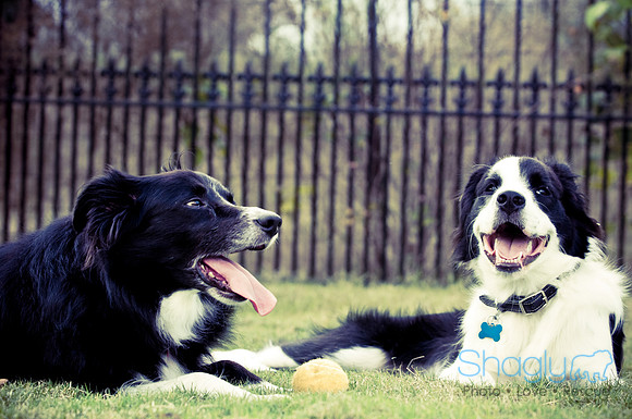 Beaux & Bandit-77