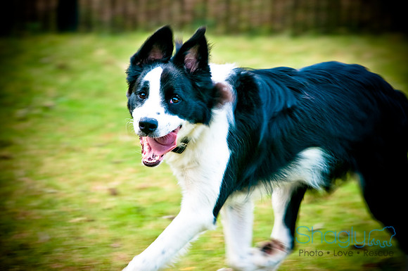 Beaux & Bandit-12