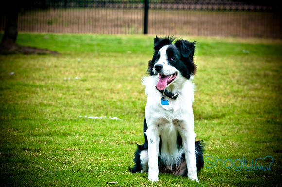 Beaux & Bandit-16