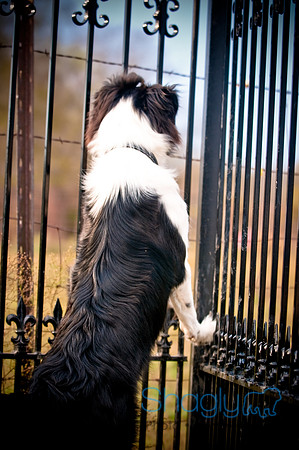 Beaux & Bandit-49