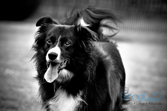 Beaux & Bandit-13
