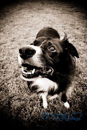 Beaux & Bandit-40