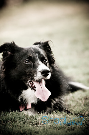 Beaux & Bandit-65