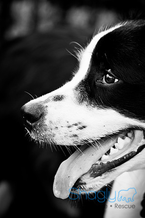 Beaux & Bandit-63