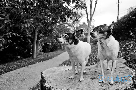Ava and Audrey-60