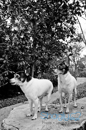 Ava and Audrey-58