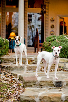 Boorah and Lola-4