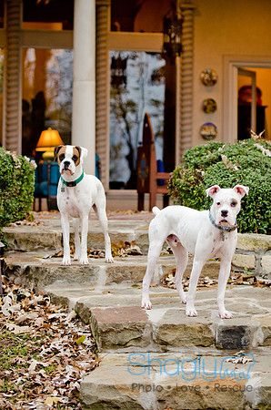 Boorah and Lola-4