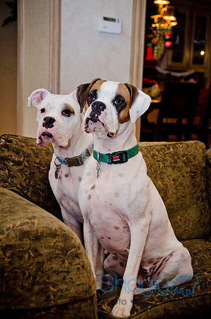 Boorah and Lola-88
