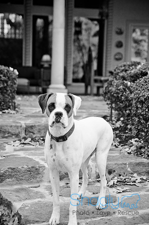Boorah and Lola-60