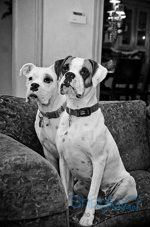 Boorah and Lola-89
