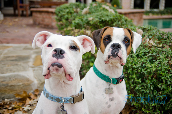 Boorah and Lola-64