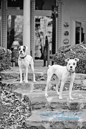 Boorah and Lola-5