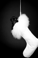Baby Puggy Project-8