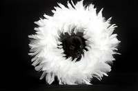 Baby Puggy Project-2