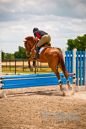 White Horse Farms-18