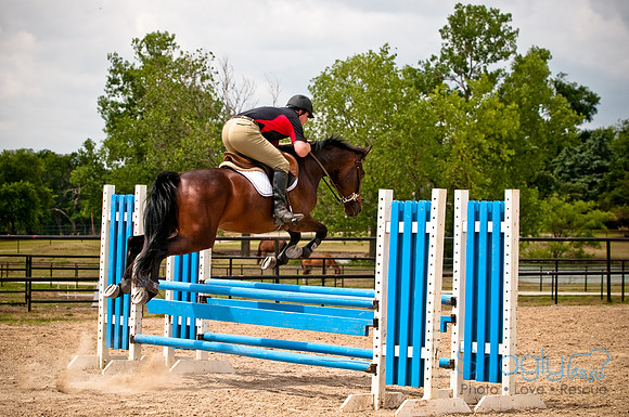 White Horse Farms-14