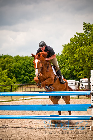 White Horse Farms-22