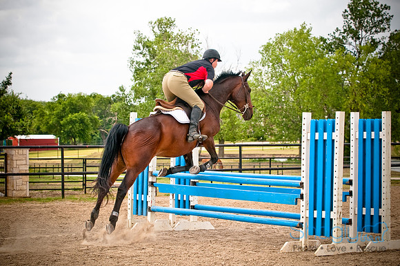 White Horse Farms-11