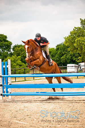 White Horse Farms-26