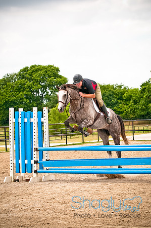 White Horse Farms-29