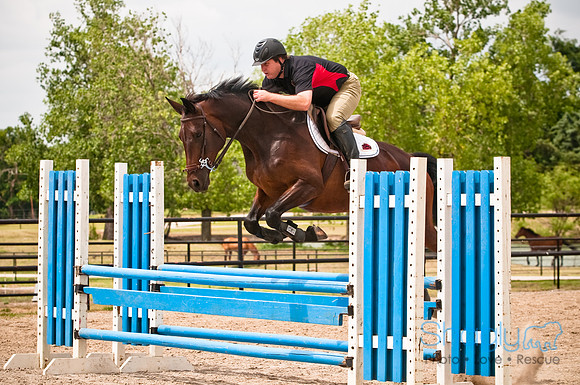 White Horse Farms-12