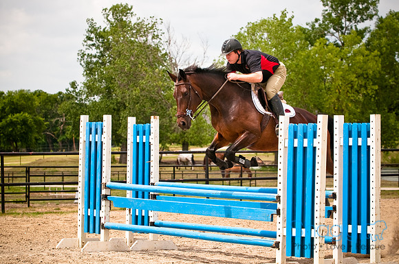 White Horse Farms-13
