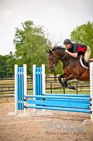 White Horse Farms-10