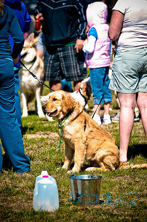 St.Paddys Pooch Party-8