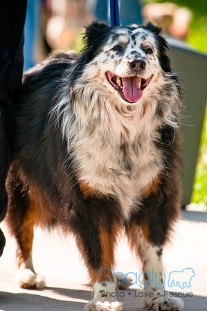2nd Annual East Kessler Pet Parade