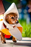 2nd Annual East Kessler Pet Parade-4