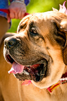 2nd Annual East Kessler Pet Parade-19