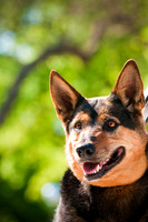 2nd Annual East Kessler Pet Parade-18