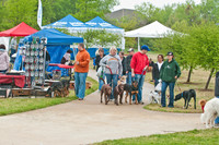 Rover Rally 2011-15