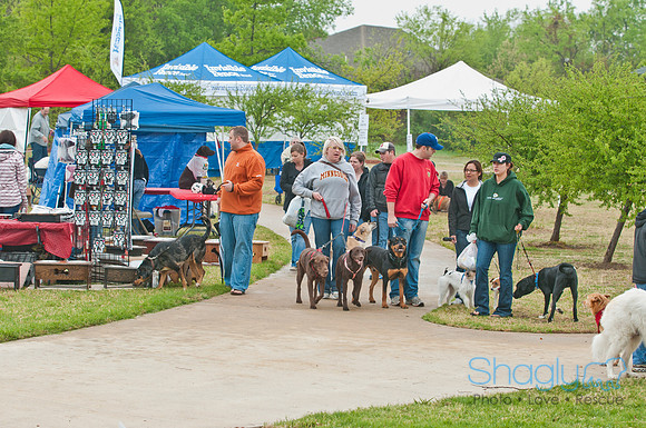 Rover Rally 2011-15