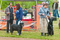 Rover Rally 2011-11