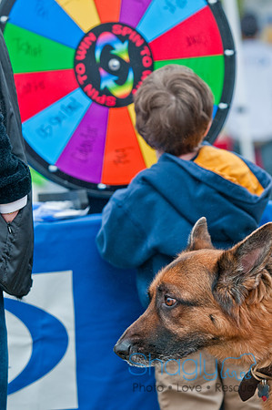 Rover Rally 2011-12