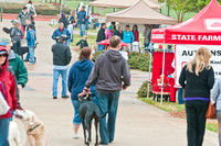 Rover Rally 2011-14