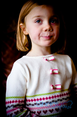 Wilcox Family-33
