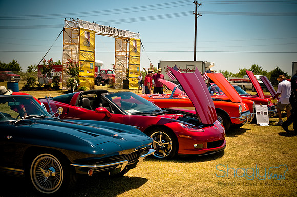 Wild About Flower Mound-14