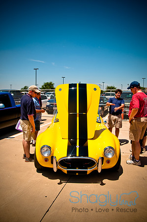 Wild About Flower Mound-15