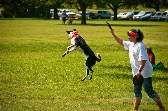 Dog Day Afternoon-7