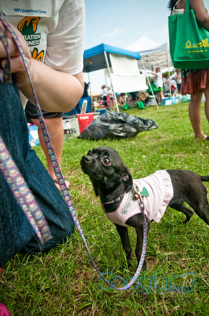 Dog Day Afternoon-43