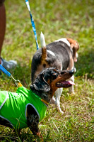 Dog Day Afternoon-18