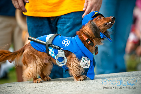 Dog Day Afternoon-95