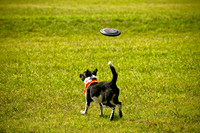 Dog Day Afternoon-8