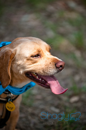 Dog Day Afternoon-105