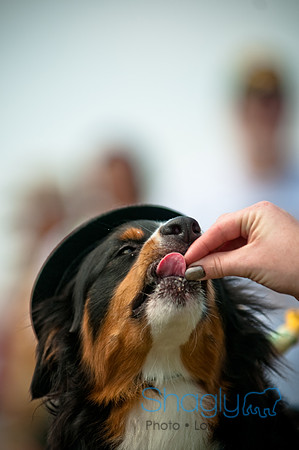 Dog Day Afternoon-90