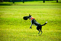 Dog Day Afternoon-12