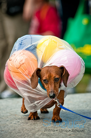 Dog Day Afternoon-88